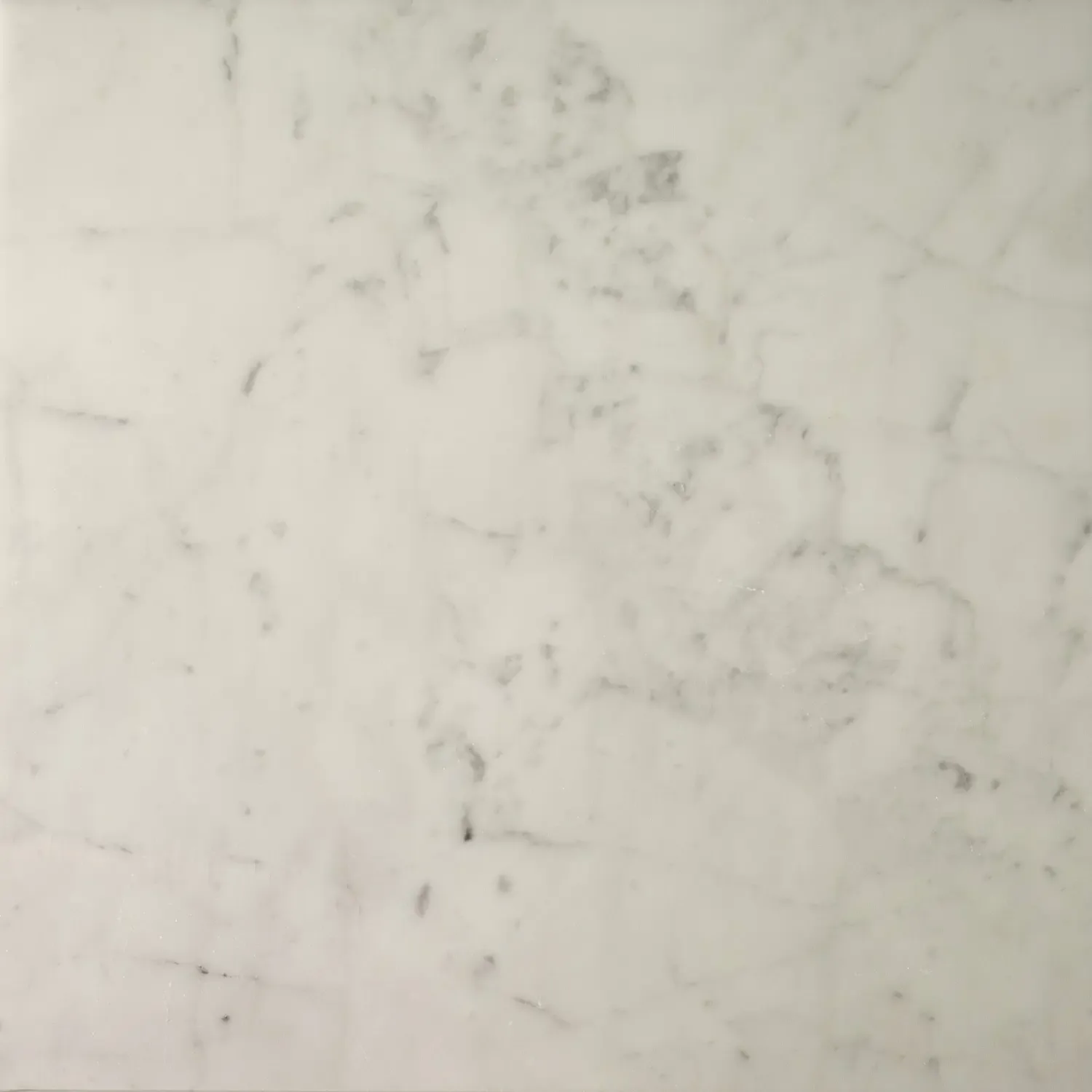 Italian Stone: A Specifier's Guide to the Marbles, Limestones, and Sandstones