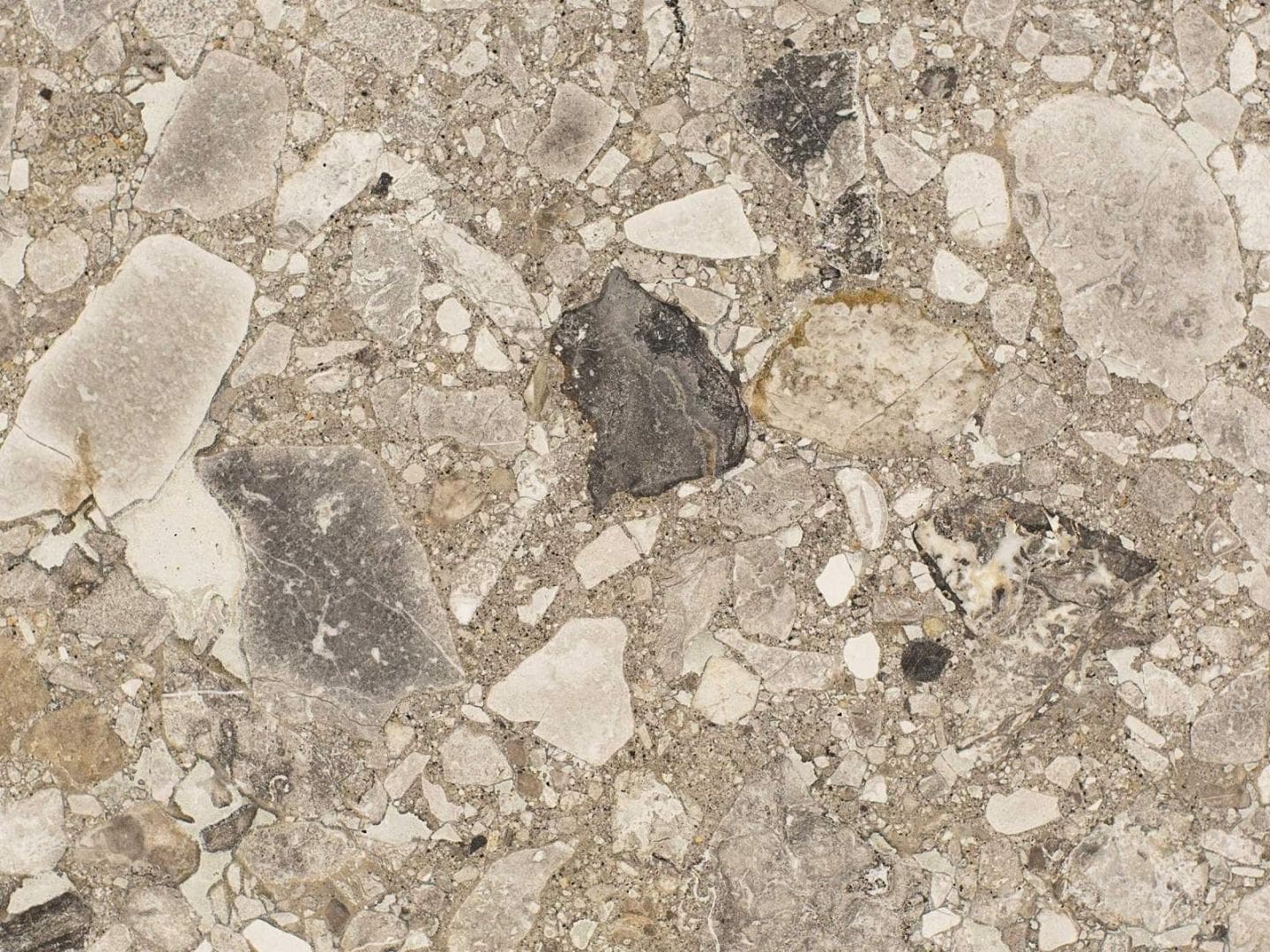 Ceppo di Gré: Milan's Conglomerate Stone, and How to Specify It