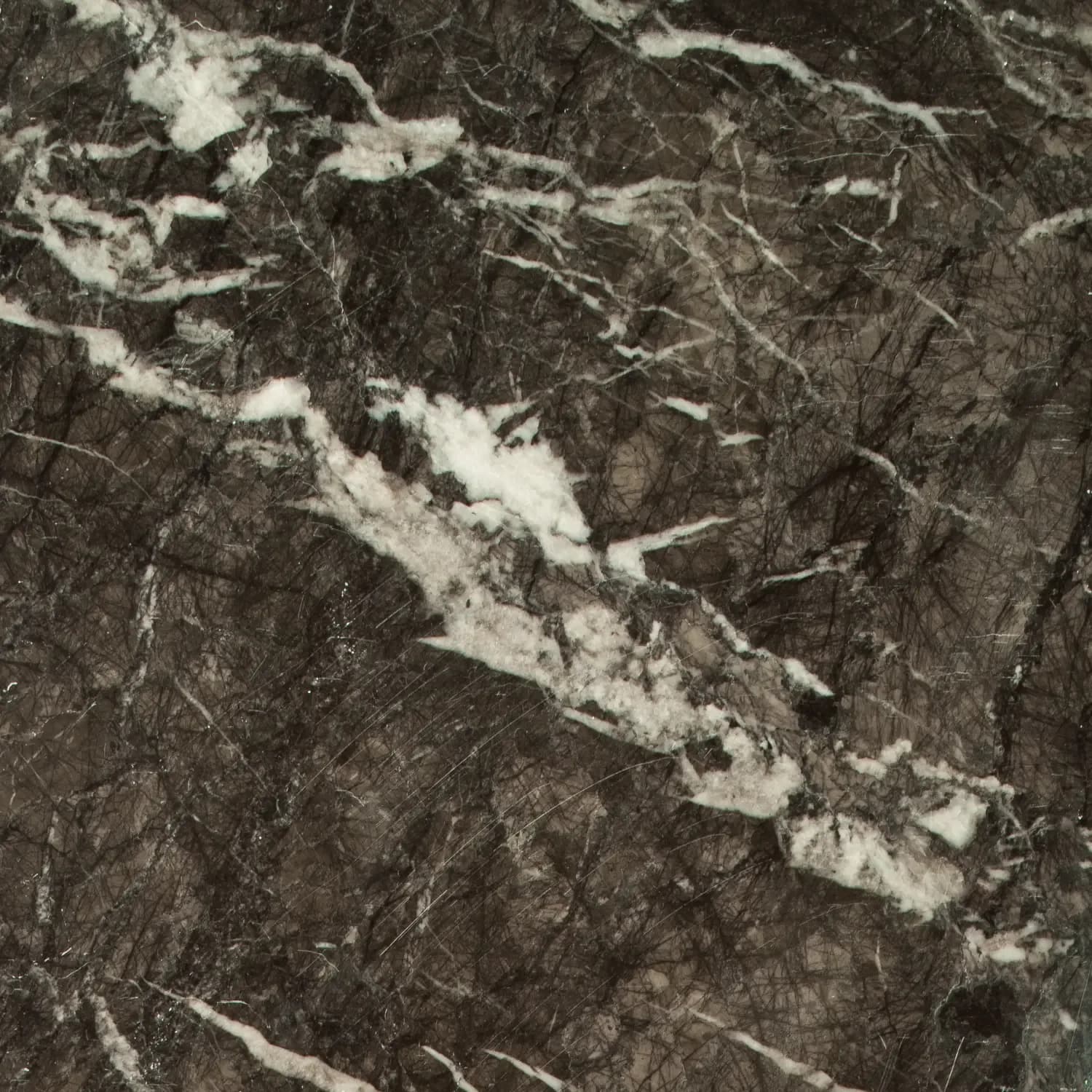 Grigio Carnico: The Deep Grey-Black Italian Marble, Specified